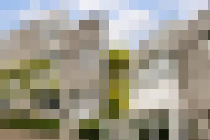 Reina Prinsen Geerligsdreef 87 Hoofddorp thumbnail 7