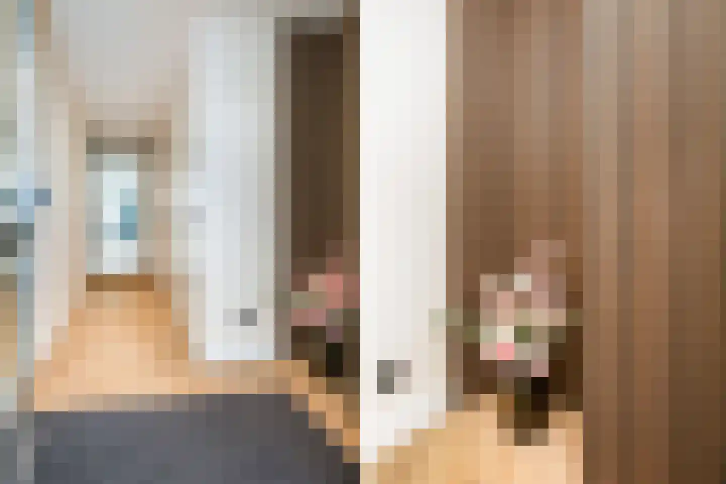 Reina Prinsen Geerligsdreef 87 Hoofddorp thumbnail 7