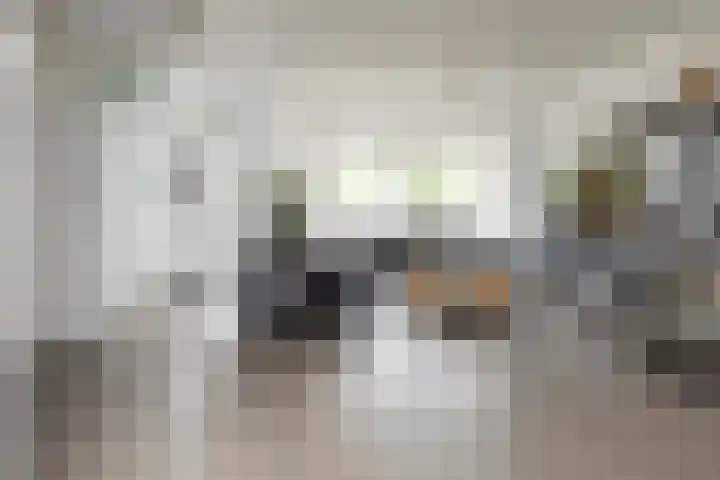 Reina Prinsen Geerligsdreef 87 Hoofddorp thumbnail 9