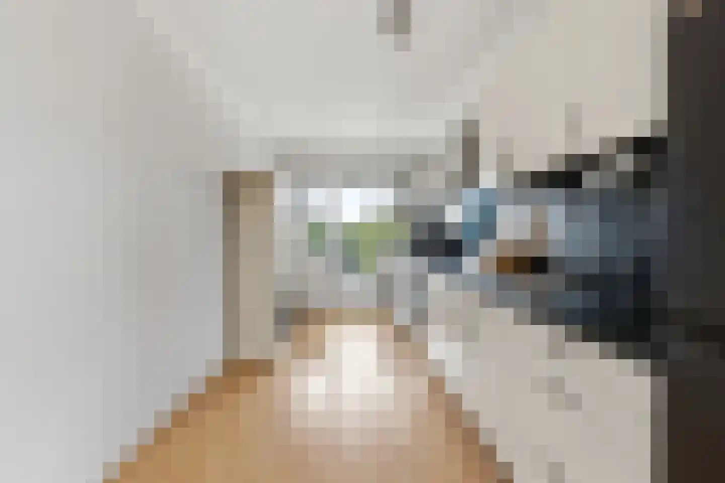 Reina Prinsen Geerligspad 17 Leiden thumbnail 4