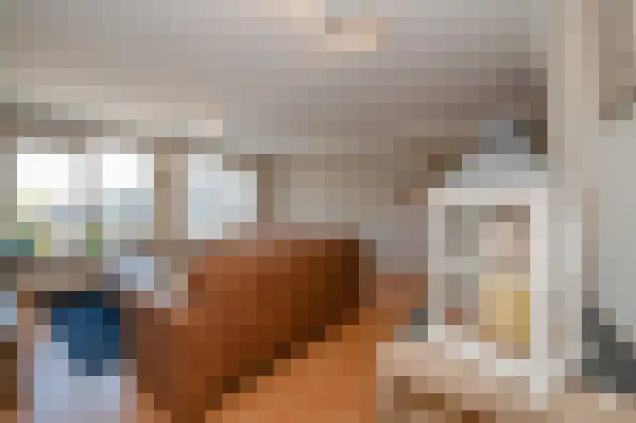 Reina Prinsen Geerligspad 17 Leiden thumbnail 9
