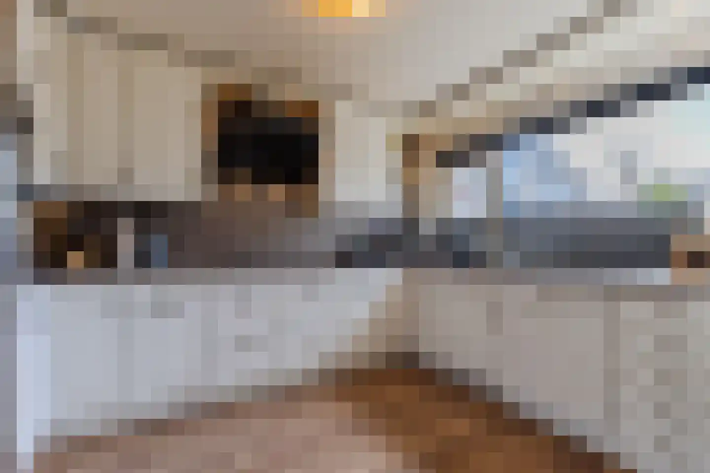 Reina Prinsen Geerligspad 19 Spijkenisse thumbnail 17