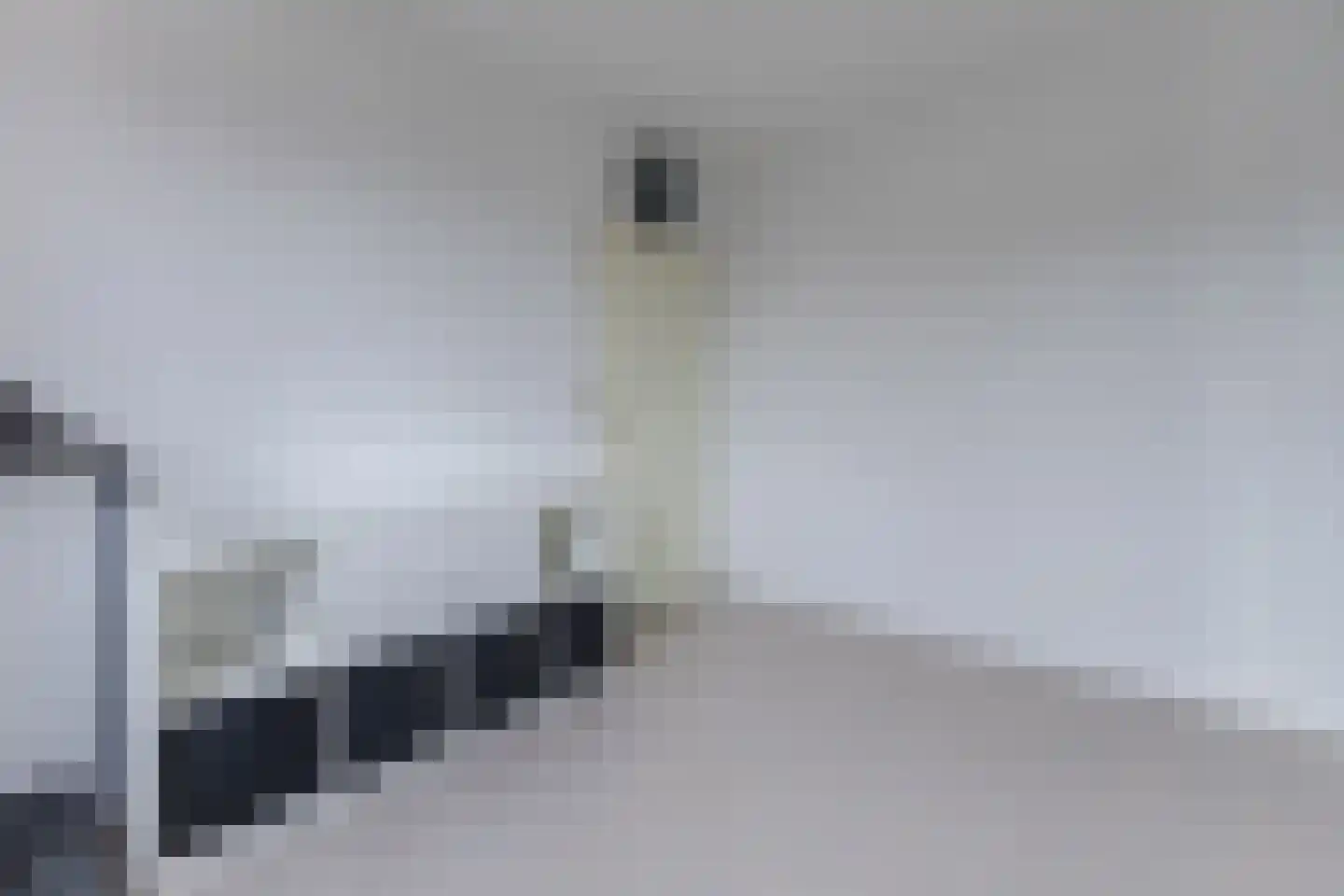 Reina Prinsen Geerligspad 19 Spijkenisse thumbnail 27