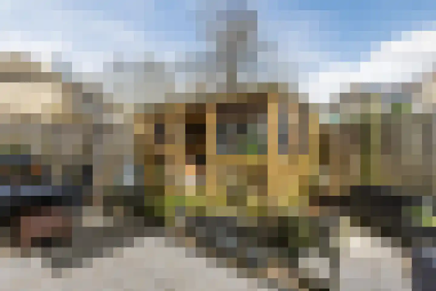 Reina Prinsen Geerligspad 19 Spijkenisse thumbnail 39