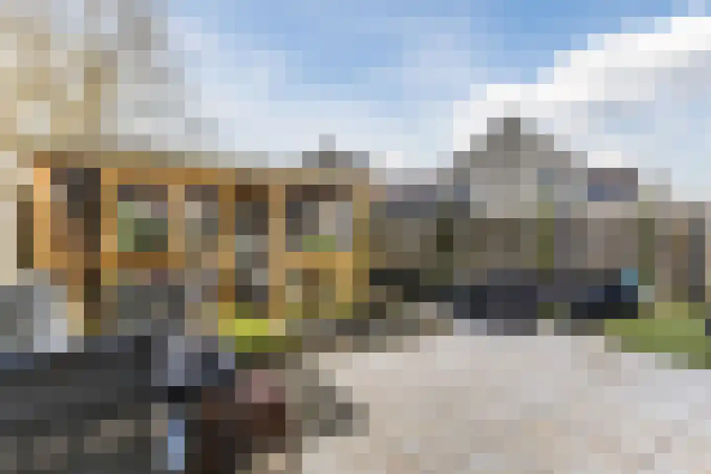 Reina Prinsen Geerligspad 19 Spijkenisse thumbnail 40