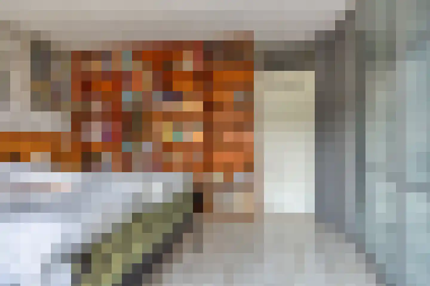 Reina Prinsen Geerligssingel 11 Pijnacker thumbnail 22