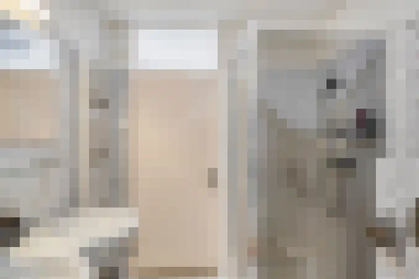 Reina Prinsen Geerligssingel 28 Pijnacker thumbnail 22