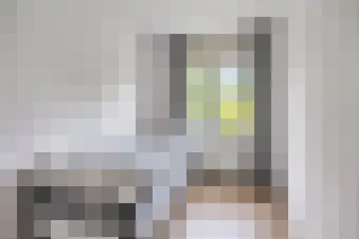 Reina Prinsen Geerligssingel 37 Pijnacker thumbnail 15