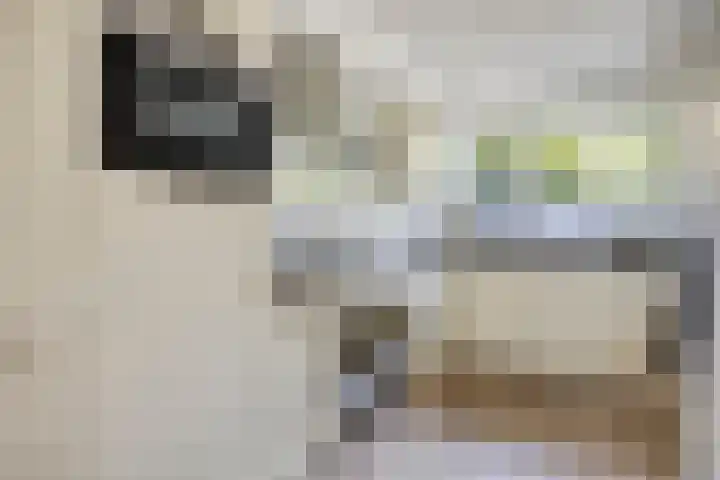Reina Prinsen Geerligssingel 37 Pijnacker thumbnail 4