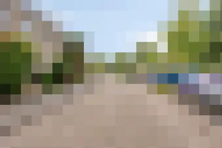 Reina Prinsen Geerligssingel 37 Pijnacker thumbnail 6