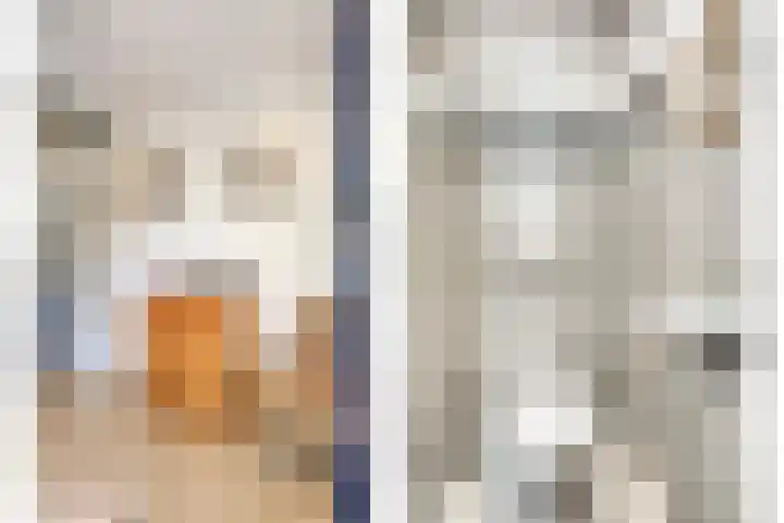 Reina Prinsen Geerligssingel 6 Pijnacker thumbnail 10