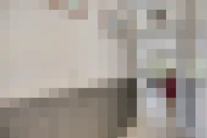 Reina Prinsen Geerligssingel 6 Pijnacker thumbnail 11