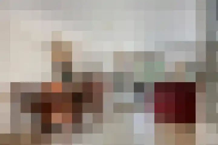Reina Prinsen Geerligssingel 6 Pijnacker thumbnail 12