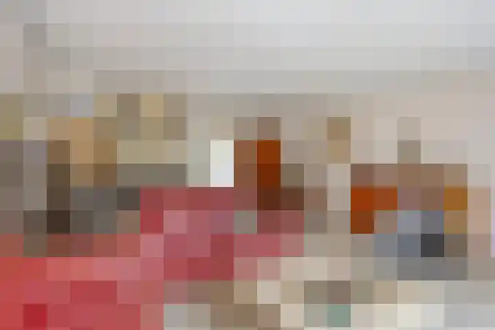 Reina Prinsen Geerligssingel 6 Pijnacker thumbnail 13