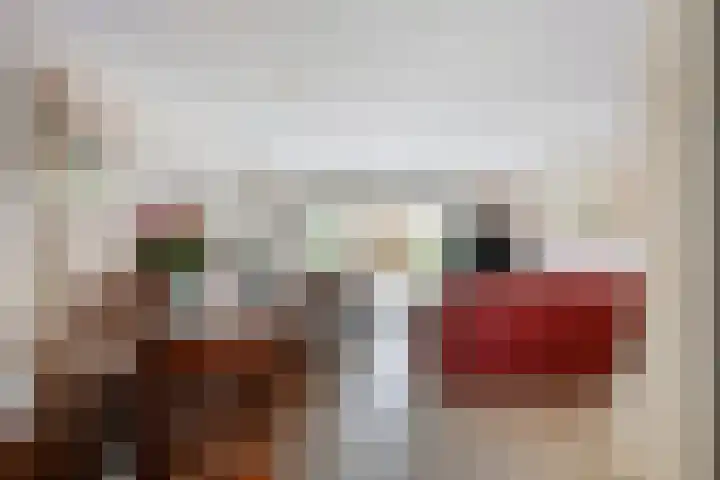 Reina Prinsen Geerligssingel 6 Pijnacker thumbnail 15