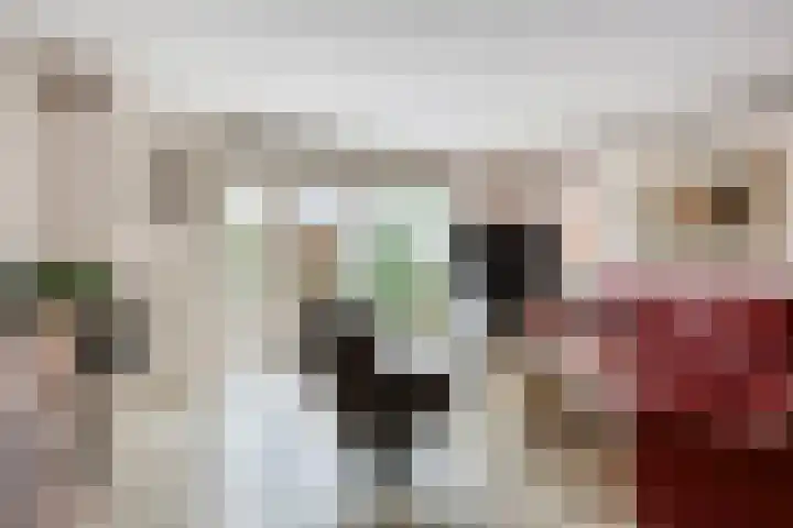 Reina Prinsen Geerligssingel 6 Pijnacker thumbnail 16