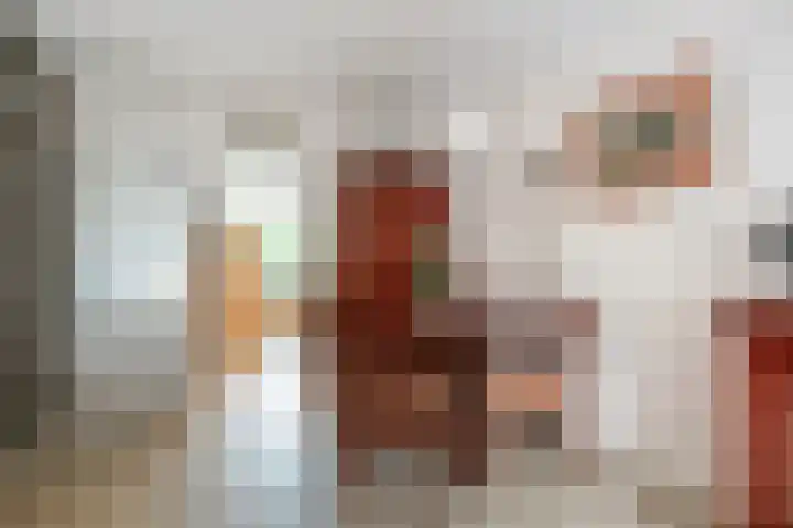 Reina Prinsen Geerligssingel 6 Pijnacker thumbnail 17
