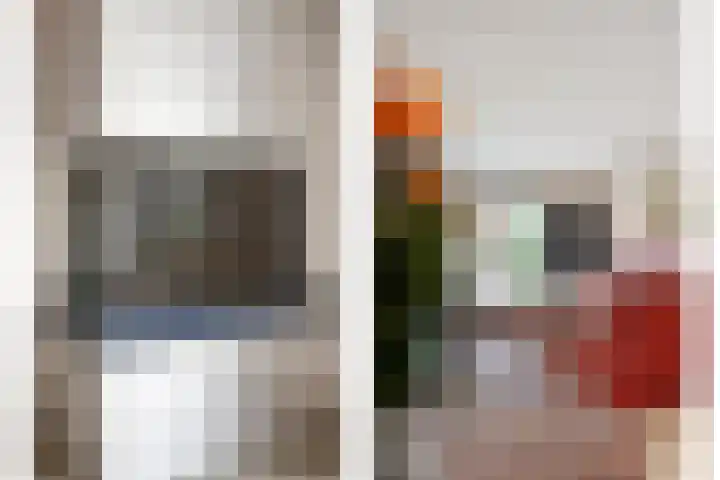 Reina Prinsen Geerligssingel 6 Pijnacker thumbnail 18