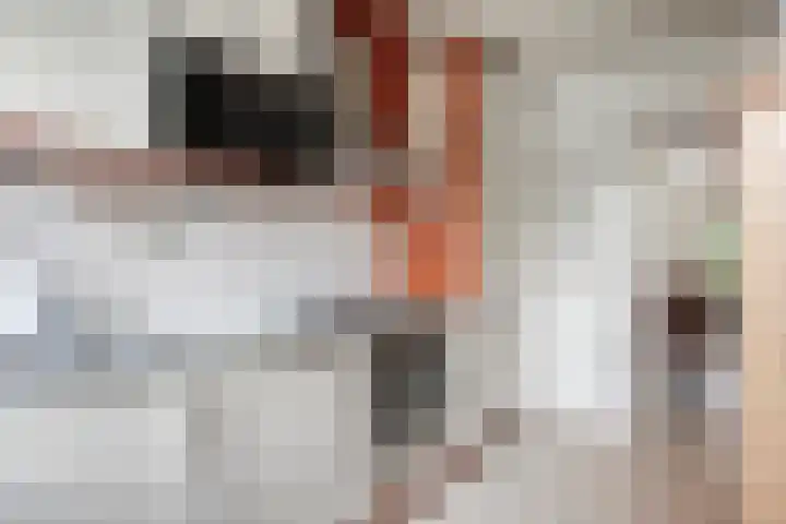 Reina Prinsen Geerligssingel 6 Pijnacker thumbnail 20