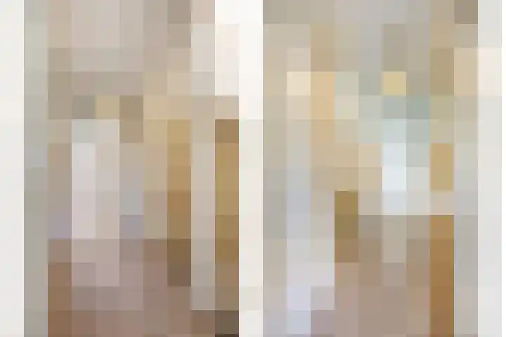 Reina Prinsen Geerligssingel 6 Pijnacker thumbnail 22