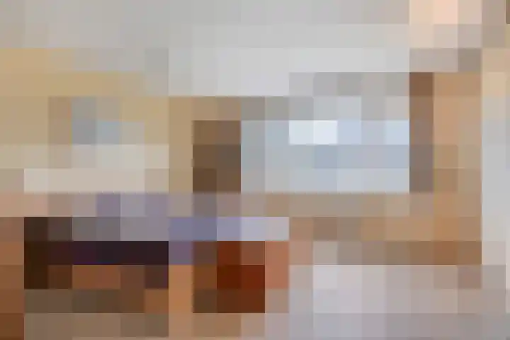 Reina Prinsen Geerligssingel 6 Pijnacker thumbnail 23