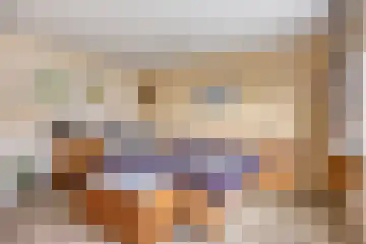 Reina Prinsen Geerligssingel 6 Pijnacker thumbnail 24
