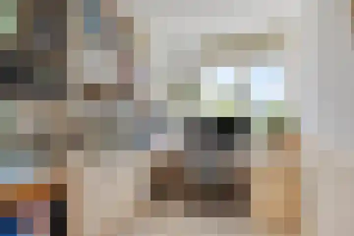 Reina Prinsen Geerligssingel 6 Pijnacker thumbnail 30