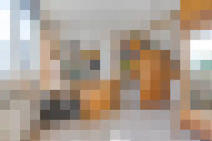 Reina Prinsen Geerligssingel 6 Pijnacker thumbnail 31