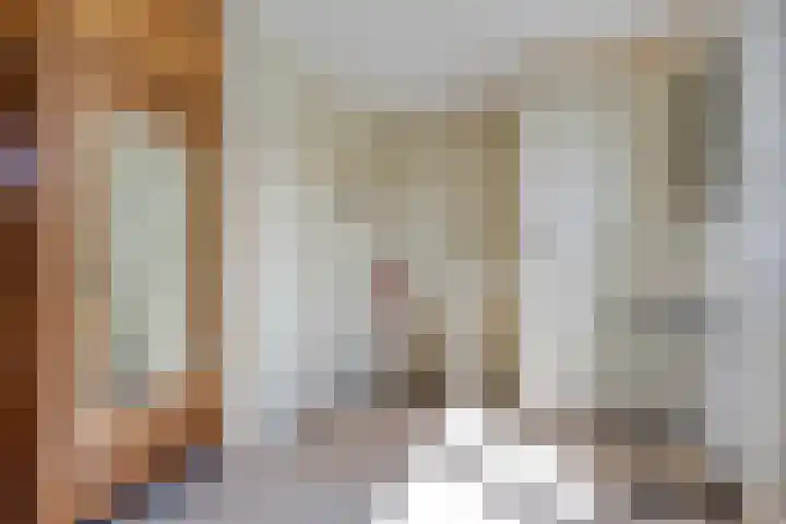 Reina Prinsen Geerligssingel 6 Pijnacker thumbnail 33
