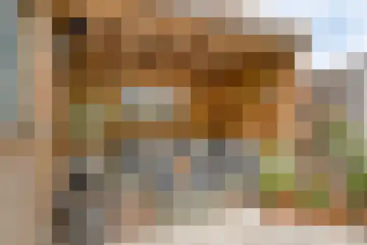 Reina Prinsen Geerligssingel 6 Pijnacker thumbnail 38