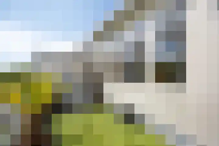 Reina Prinsen Geerligssingel 6 Pijnacker thumbnail 5