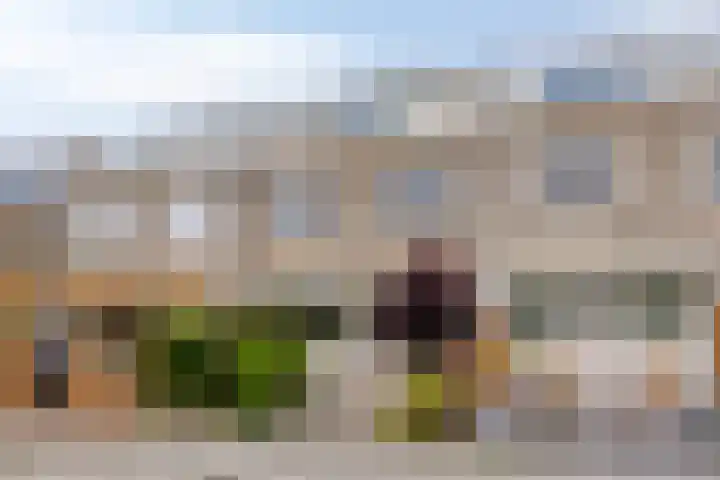 Reina Prinsen Geerligssingel 6 Pijnacker thumbnail 7