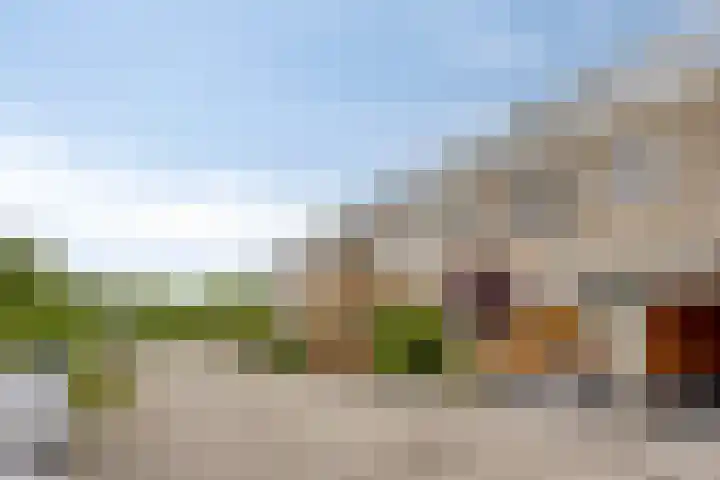 Reina Prinsen Geerligssingel 6 Pijnacker thumbnail 8