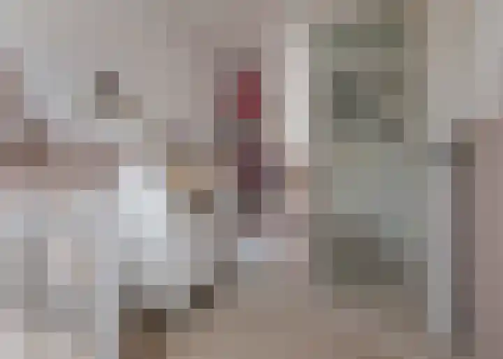 Reina Prinsen Geerligstuin 33 Heerhugowaard thumbnail 22