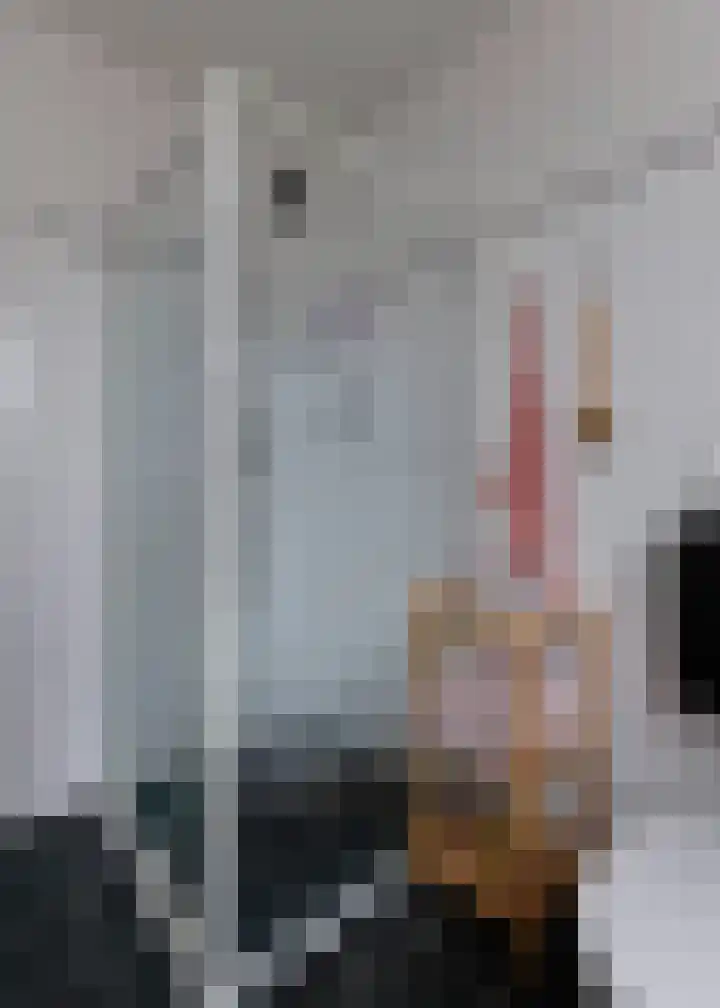 Reina Prinsen Geerligstuin 33 Heerhugowaard thumbnail 24