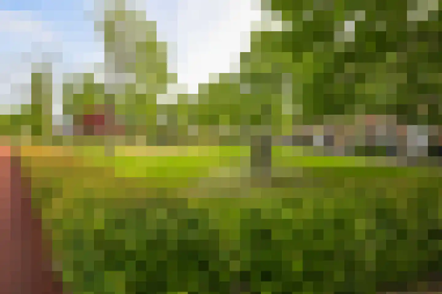 Reina Prinsen Geerligstuin 35 Heerhugowaard thumbnail 39