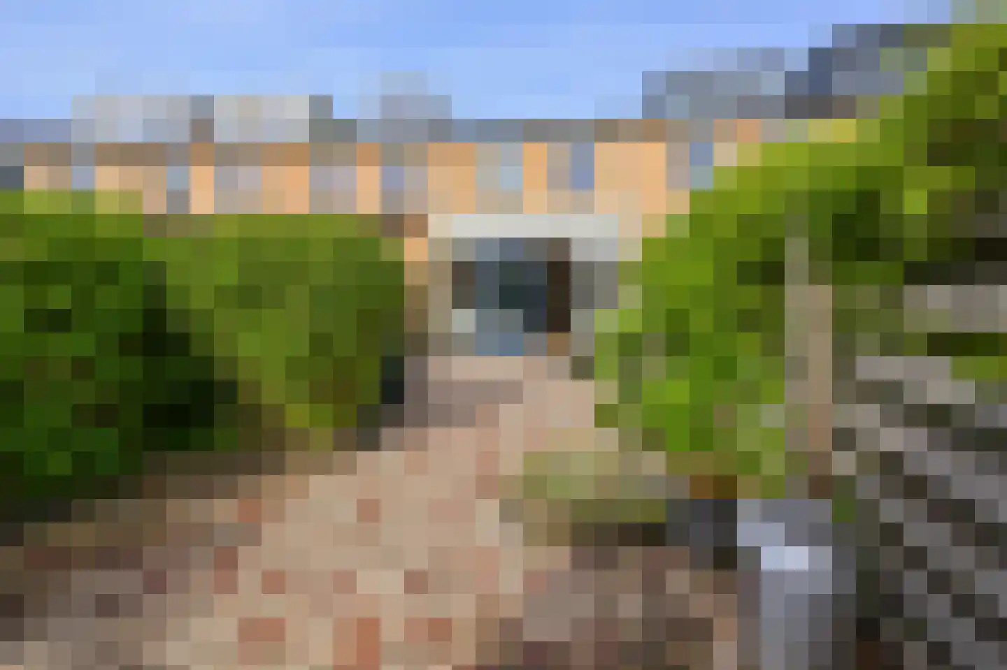 Reina Prinsen Geerligstuin 35 Heerhugowaard thumbnail 4