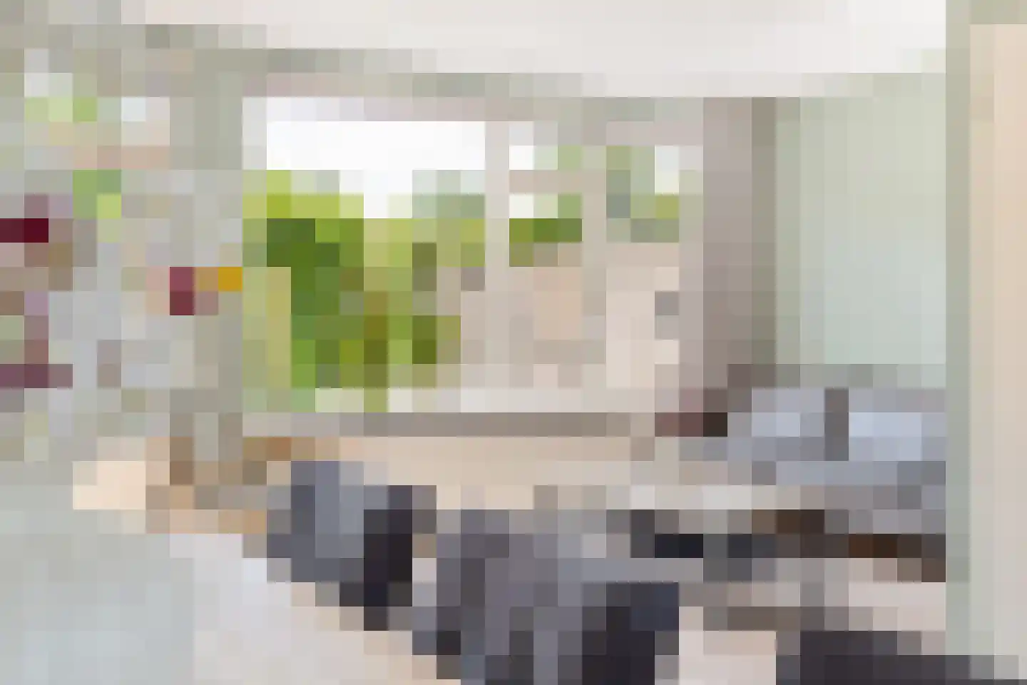 Reinaard 36 Kollum thumbnail 13