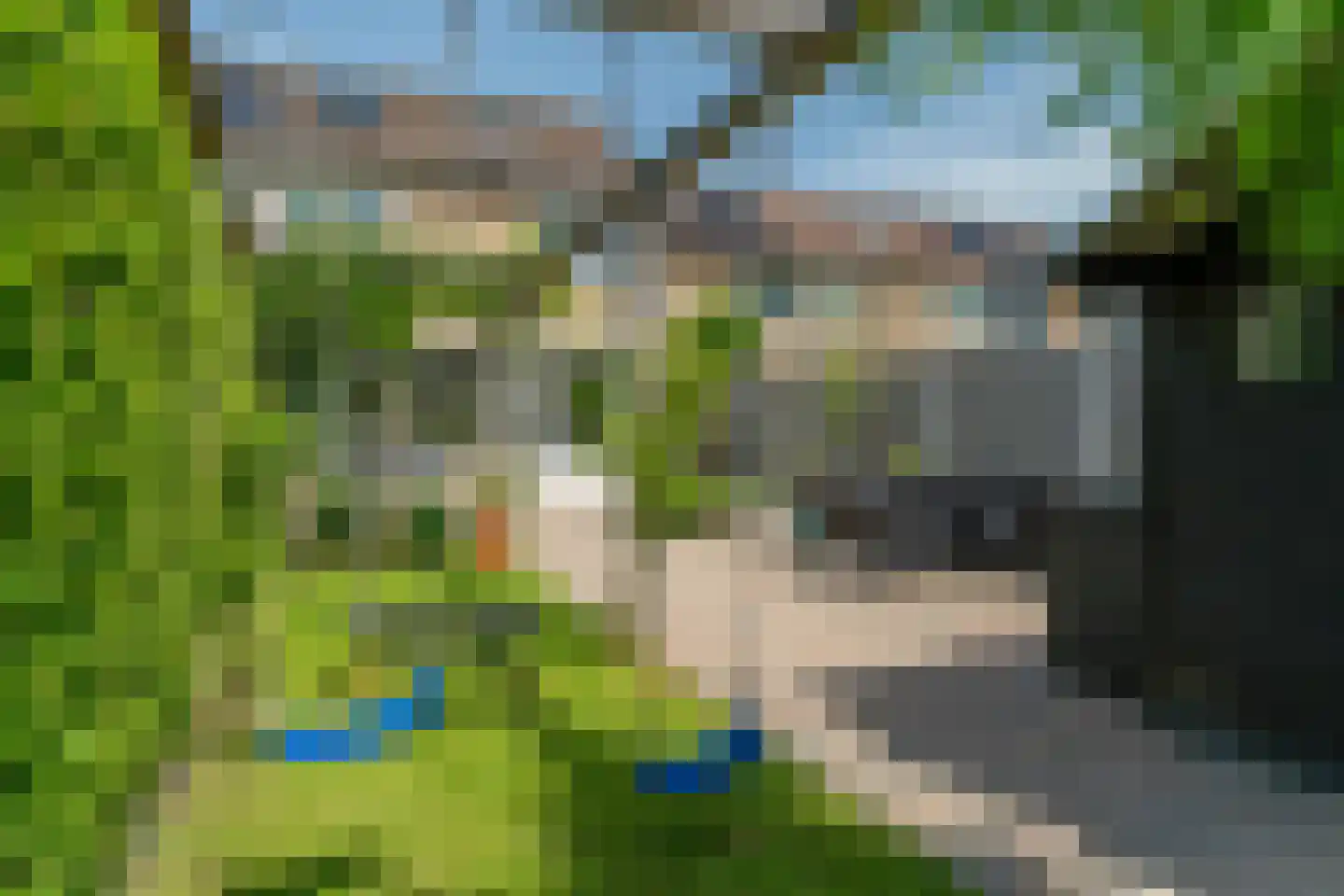 Reinaard 36 Kollum thumbnail 38