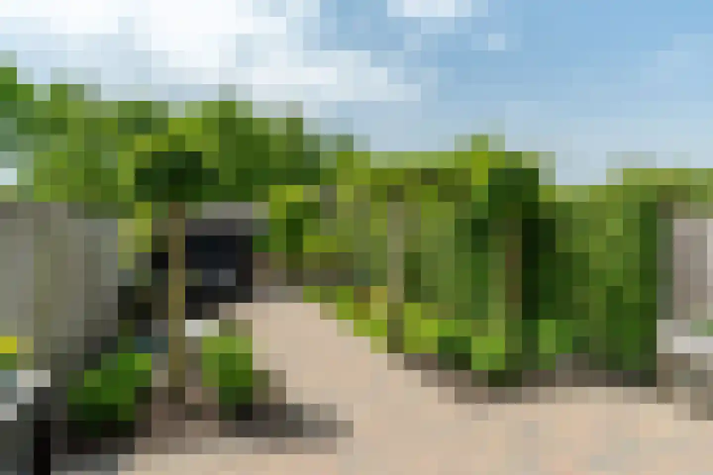 Reinaard 36 Kollum thumbnail 4