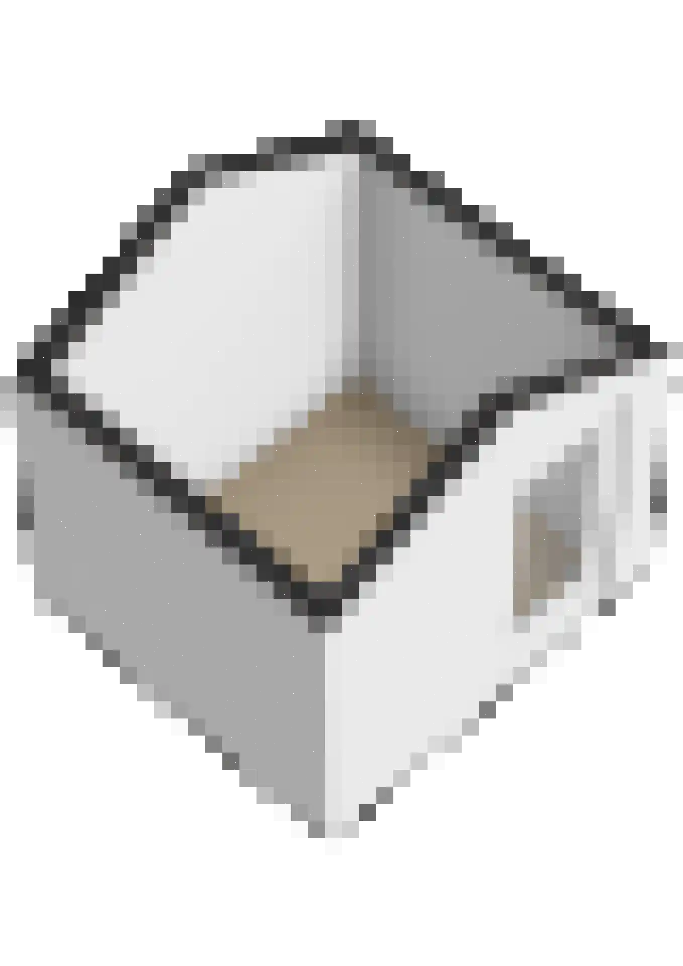 Reinaard 36 Kollum thumbnail 50