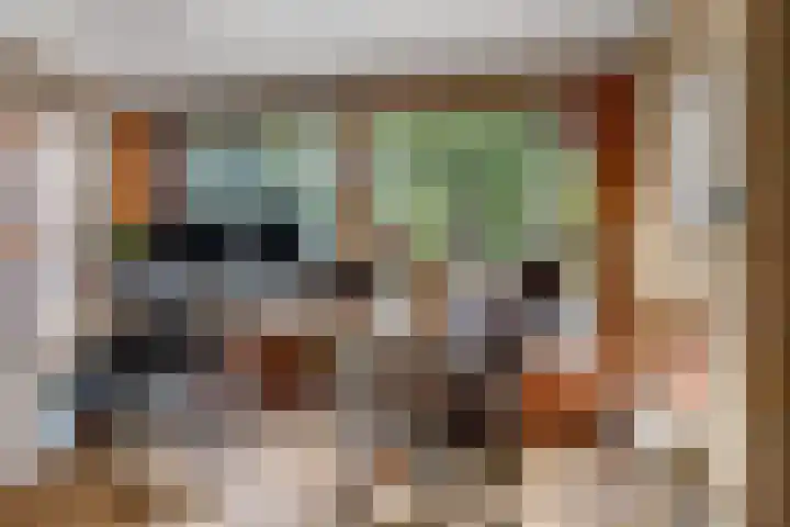 Reinaartlaan 8 Oudenbosch thumbnail 11