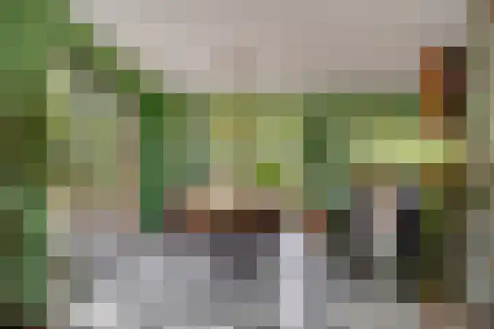 Reinaartlaan 8 Oudenbosch thumbnail 12