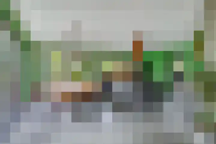 Reinaartlaan 8 Oudenbosch thumbnail 13