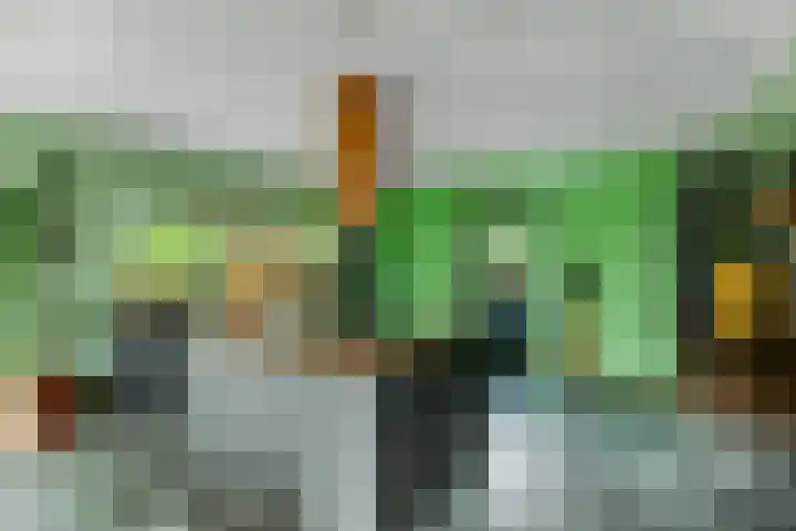 Reinaartlaan 8 Oudenbosch thumbnail 14