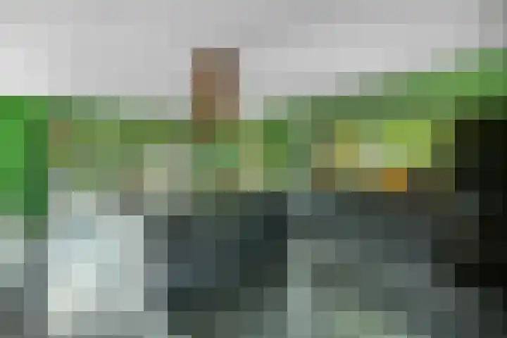Reinaartlaan 8 Oudenbosch thumbnail 15