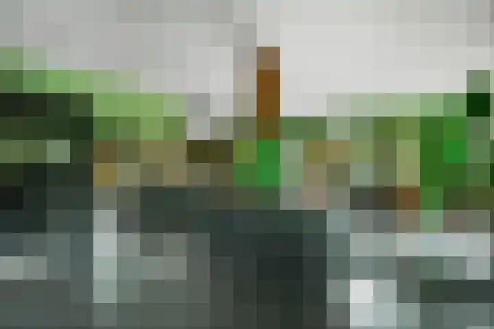 Reinaartlaan 8 Oudenbosch thumbnail 16