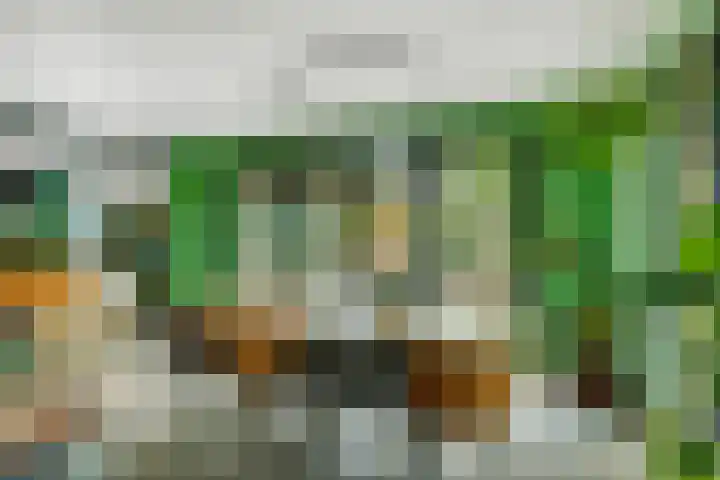Reinaartlaan 8 Oudenbosch thumbnail 17