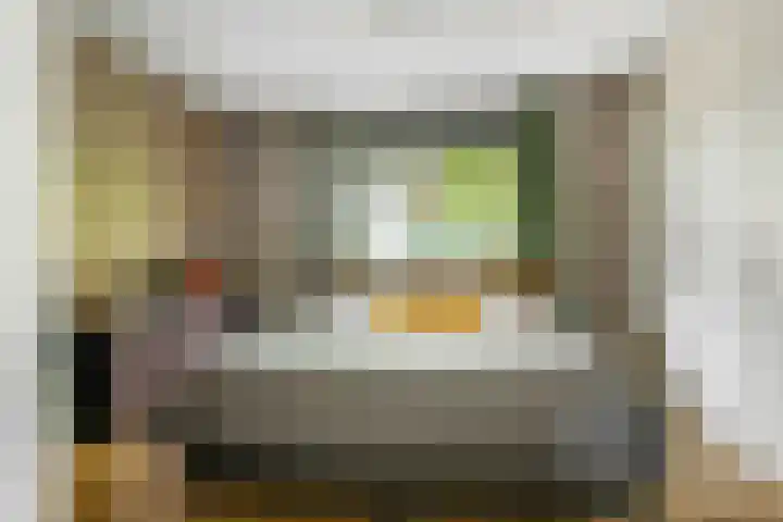 Reinaartlaan 8 Oudenbosch thumbnail 18
