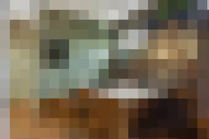 Reinaartlaan 8 Oudenbosch thumbnail 19